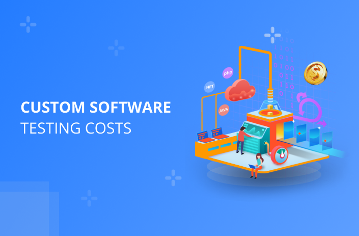 Custom software testing